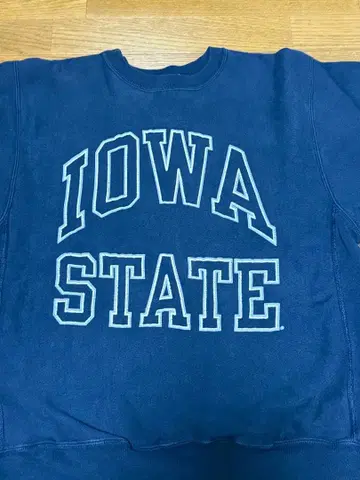 90s 챔피온 리버스 위브