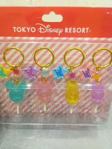 디즈니랜드 TOKYO DISNEY RESORT 키링 5개 세트