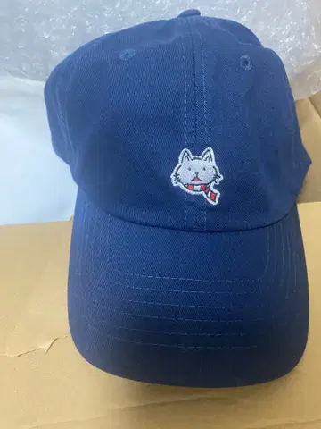 BUMP OF CHICKEN LIVE 굿즈 니콜 캡