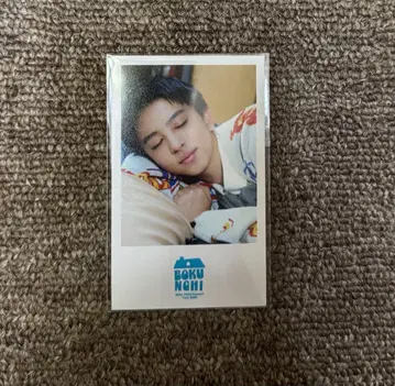 야가미 료스케, ICEx