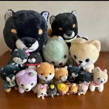 콩시바 삼형제 봉제 인형 마스코트 묶음 판매