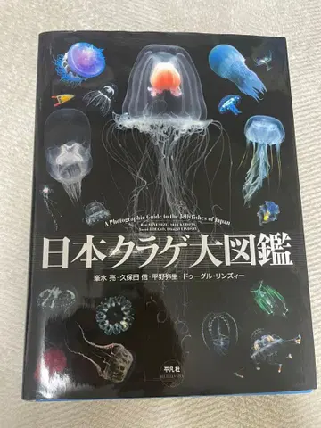 일본 해파리 대도감