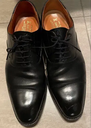 스코치 그레인 블랙 스트레이트 팁 26.5cm NL3144