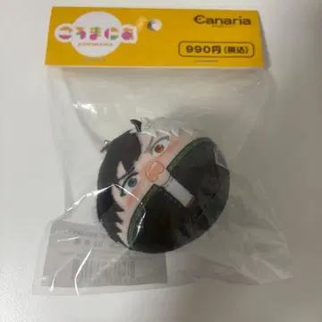 WIND BREAKER 윈브레 코로마니아 벚꽃 하루카