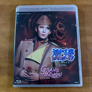 하나구미 다카라즈카 격정