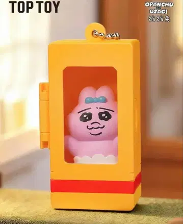 빤쮸토끼 TOPTOY 미니어처 월드 키링