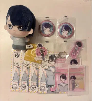 에이트리 18TRIP 카구야 소우시 SD 인형 코롯토 여행 보고서