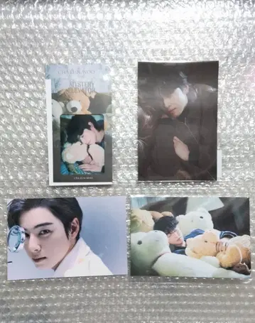 차은우 CHA EUN-WOO 북마크 포토 카드