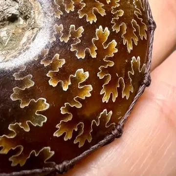 봉합선 암모나이트 마크라메 목걸이