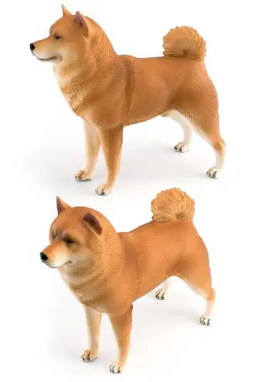 시바견 초특대형 피규어 입상 전체 길이 17cm