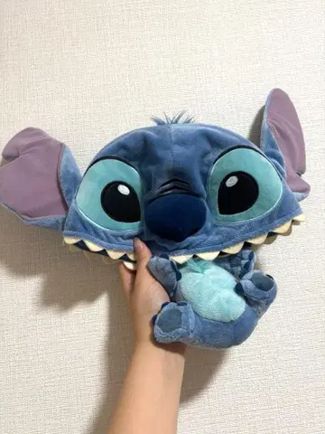 디즈니 스티치 팬캡