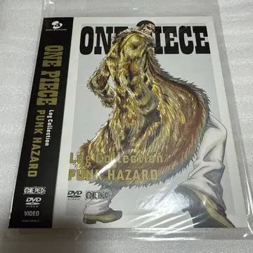 원피스 로그 컬렉션 어나더 슬리브 고