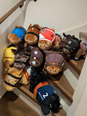 서러브레드 컬렉션 BIG 외 총 12종 세트