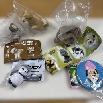 가챠가챠 5세트