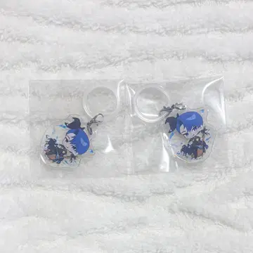 비바렌 XlamV 메지루시 아크릴 참 잇세이 2점