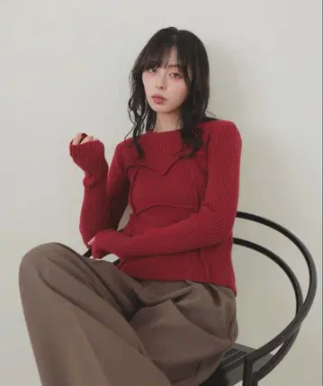 뷔스티에 디자인 리브 니트탑 LIAN 빨간색