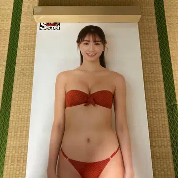 사이토 야스요 등신대 포스터 아사게 시크릿