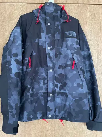 THE NORTH FACE 카모플라쥬 마운틴 후드티