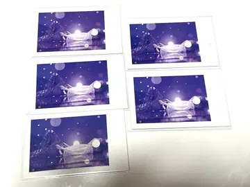 이레이스 쇼토 실사 폴라로이드 렌즈 5장 세트