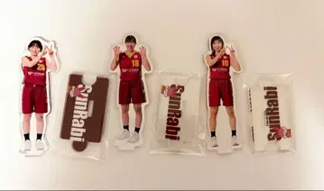 W리그 아크릴 스탠드 도요타 방직 선샤인 래비츠 이나미 미쿠