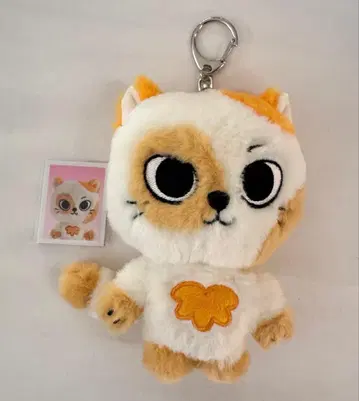 BOYNEXTDOOR 팝업 성호 키링 부넥도