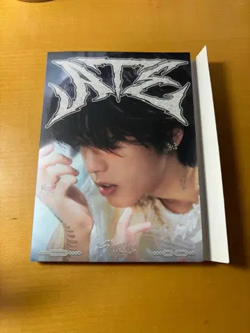 stray kids HAN 한 ATE 사진집