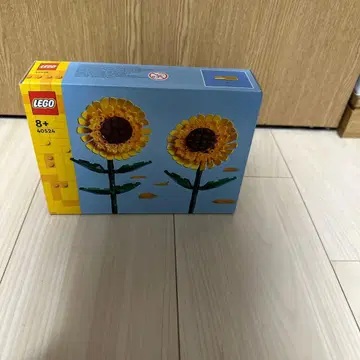 LEGO 40524 해바라기 세트