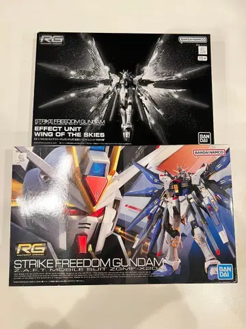 RG 스트라이크 프리덤 건담 & 천공의 날개 세트