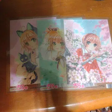 카드캡터 사쿠라 클리어 브로마이드 3장 세트