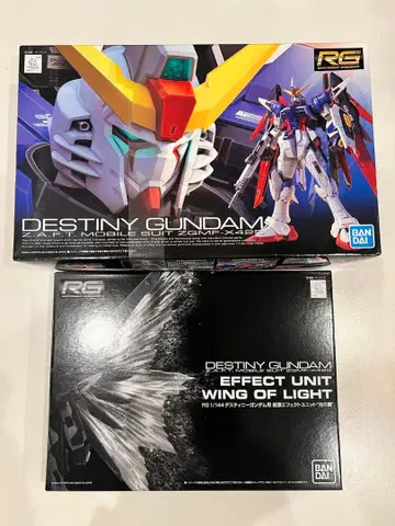 RG 데스티니 건담 빛의 날개 세트