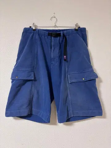 THE NORTH FACE 퍼플 라벨 카고 숏팬츠