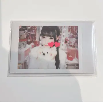 iLiFE! 와카바노아 란체키 크리티컬 프리티