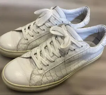Amb 9838 악어 무늬 엠보 가죽 스니커즈