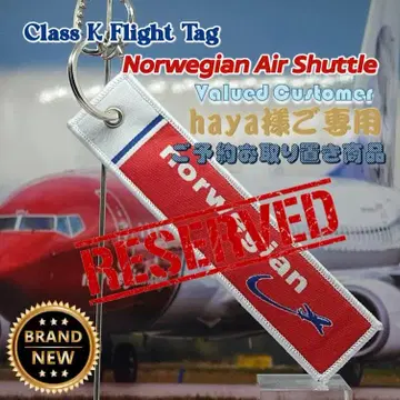 [ Class K ] 하늘의 자유를 넓힌 바이킹 노르웨이 플라이트 태그