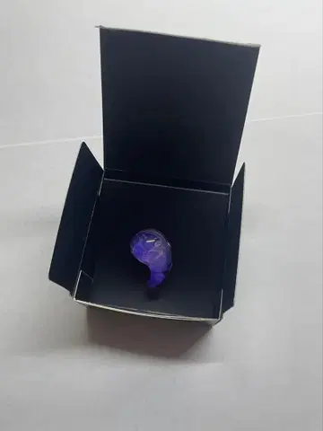 젤다의 전설 티어스 오브 더 킹덤 혼의 비적