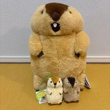 마모트의 모토토 MOTTOTO 봉제 인형 마스코트 세트