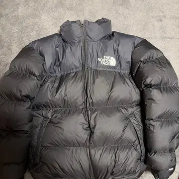 THE NORTH FACE us 700 필 파워다운