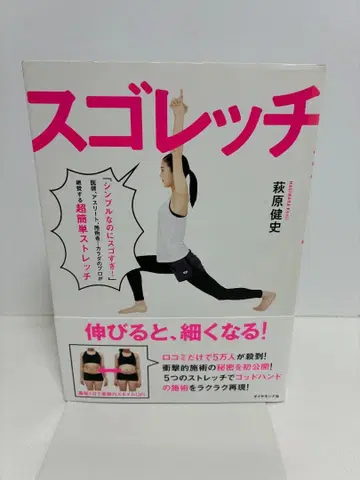 스고레치 - 초간단 스트레치 도서