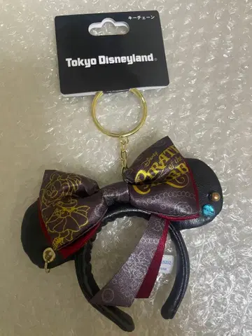 디즈니랜드 파이리츠 미니 머리띠 키체인