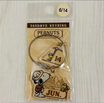 스누피 후지이 카제 생일 6월 14일 키링 한정품 SNOOPY