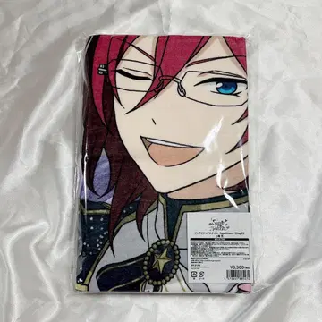 빅 비주얼 타월