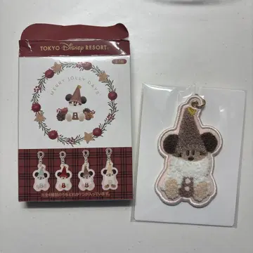 릴린린 크리스마스 2025 키체인 키링 디즈니 브라운