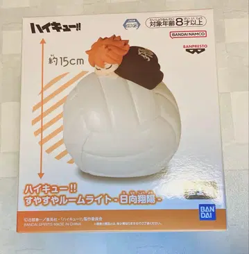 하이큐 히나타 쇼요 스야스와 룸 라이트