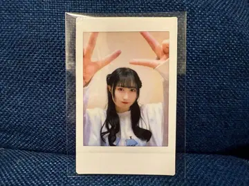 스즈모토 아키호 폴라로이드