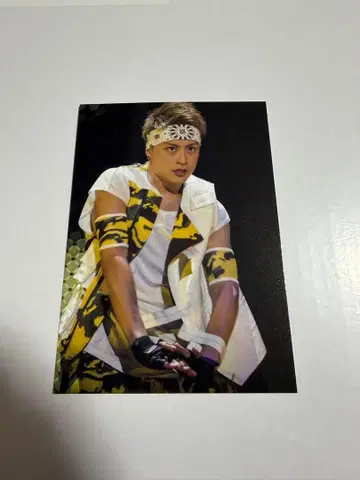 아라 포토 카드