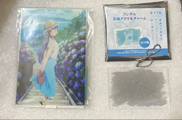 청춘 돼지는 사쿠라지마 마이 아즈사가와 사쿠타 아크릴 스탠드 아크릴 참