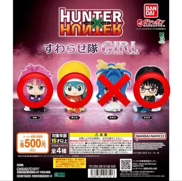 HUNTER HUNTER 헌터헌터 스와라세타이 GIRL 3종 SET