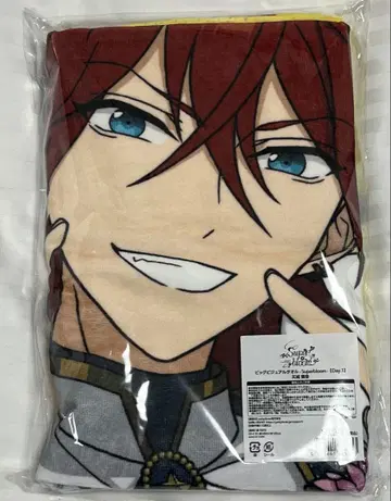 앙스타 스타포니 빅 비주얼 타월 린네