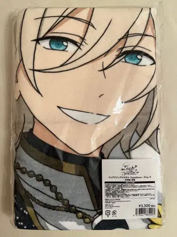 앙스타 스타포니 빅 비주얼 타월 에이치