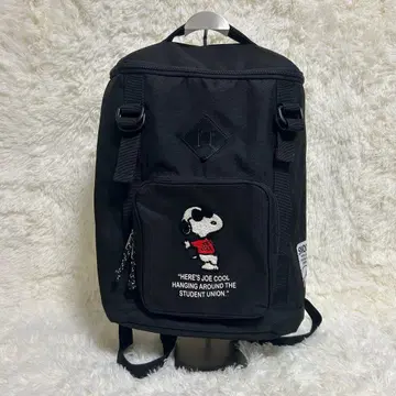 새상품급 SNOOPY 스누피 조이 쿨 박스 백팩 대용량 안쪽 올 패턴